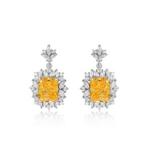 S925 silver earrings high carbon stone female ear jewelry tide accessories earrings spot manufacturers