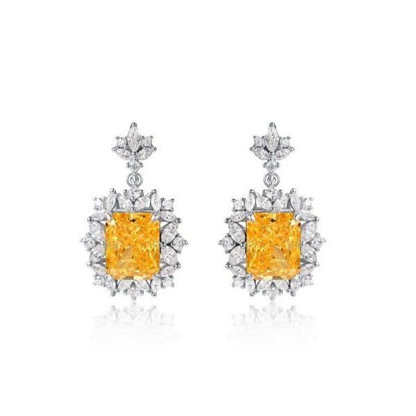 S925 silver earrings high carbon stone female ear jewelry tide accessories earrings spot manufacturers