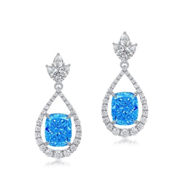 12ct egg-shaped 8_10 earrings light luxury temperament 925 silver high carbon diamond earrings female - Image 7